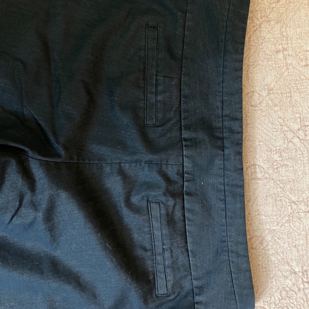 EXPRESS Dress Pants SIZE 8 LONG